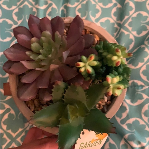 Artificial cement and wood succulent planter new - Picture 3 of 4